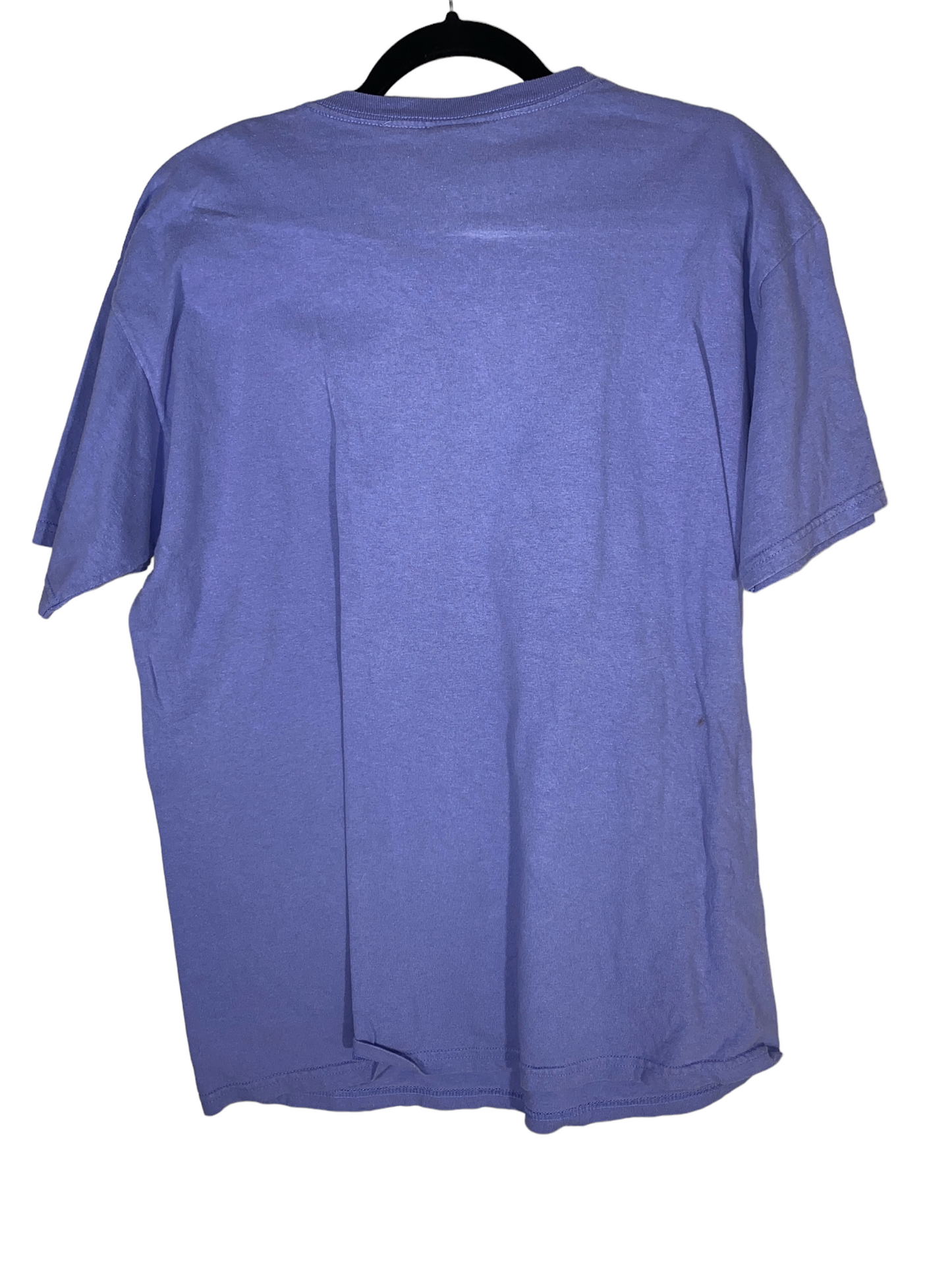 1990s Santa Fe Dreamcatcher Shirt (L)