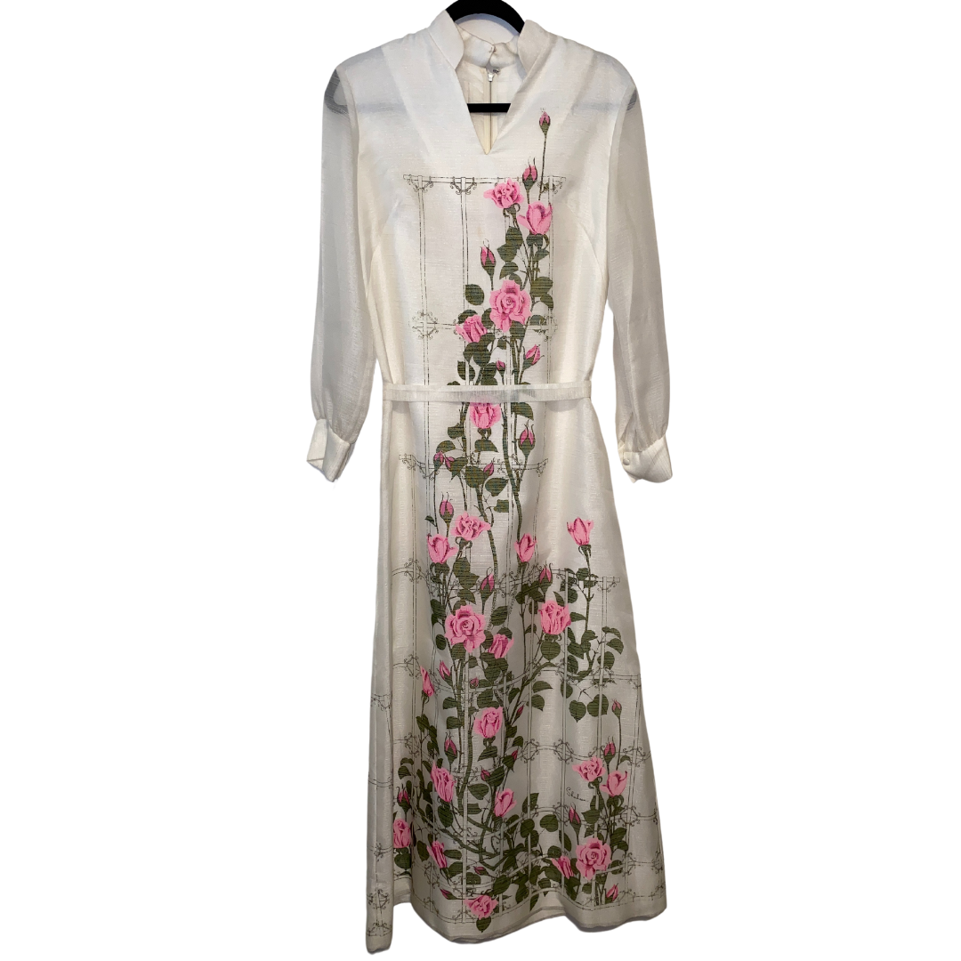 Online Exclusive Alfred Shaheen Maxi Dress with Sheer Sleeves