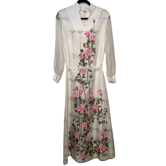 Online Exclusive Alfred Shaheen Maxi Dress with Sheer Sleeves