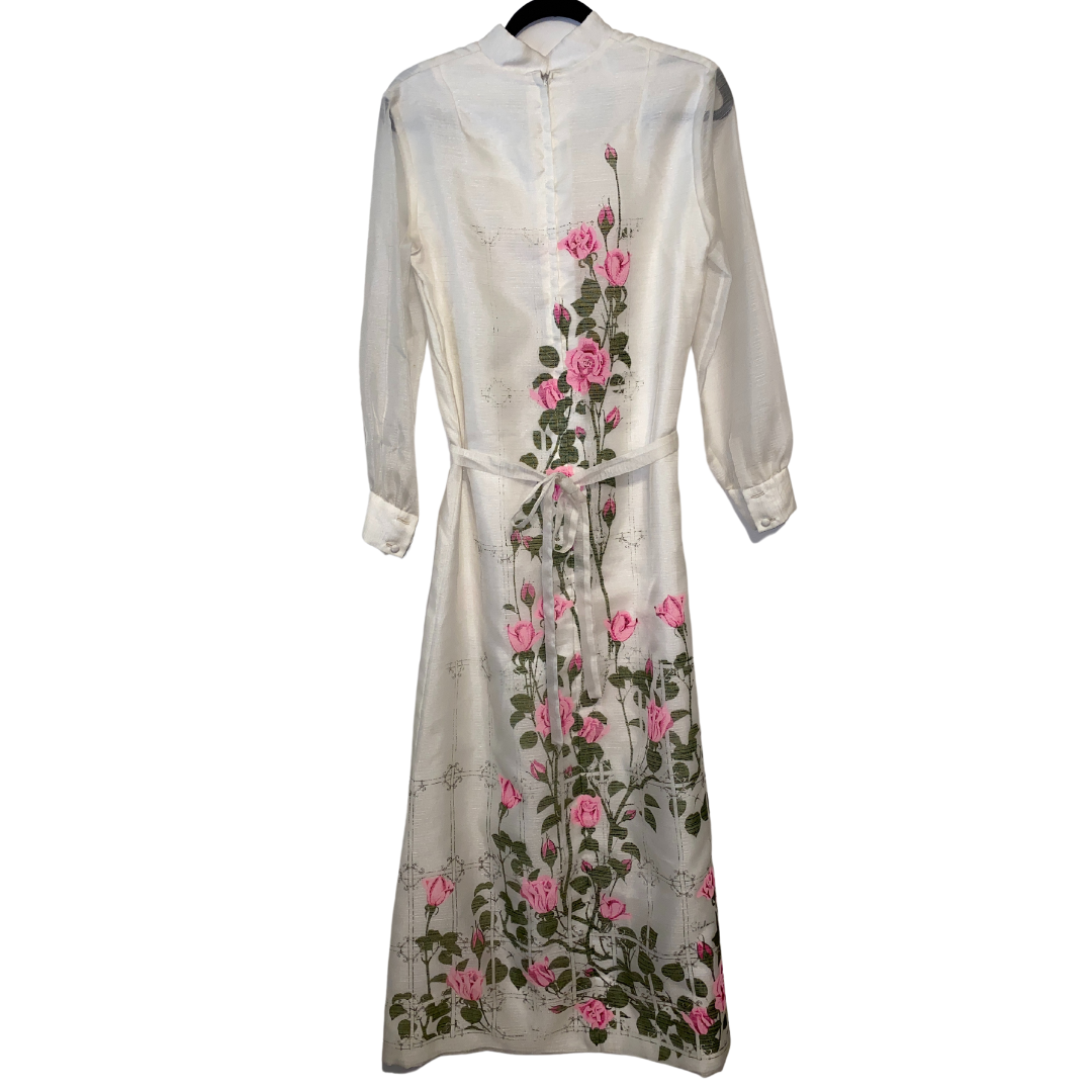 Online Exclusive Alfred Shaheen Maxi Dress with Sheer Sleeves